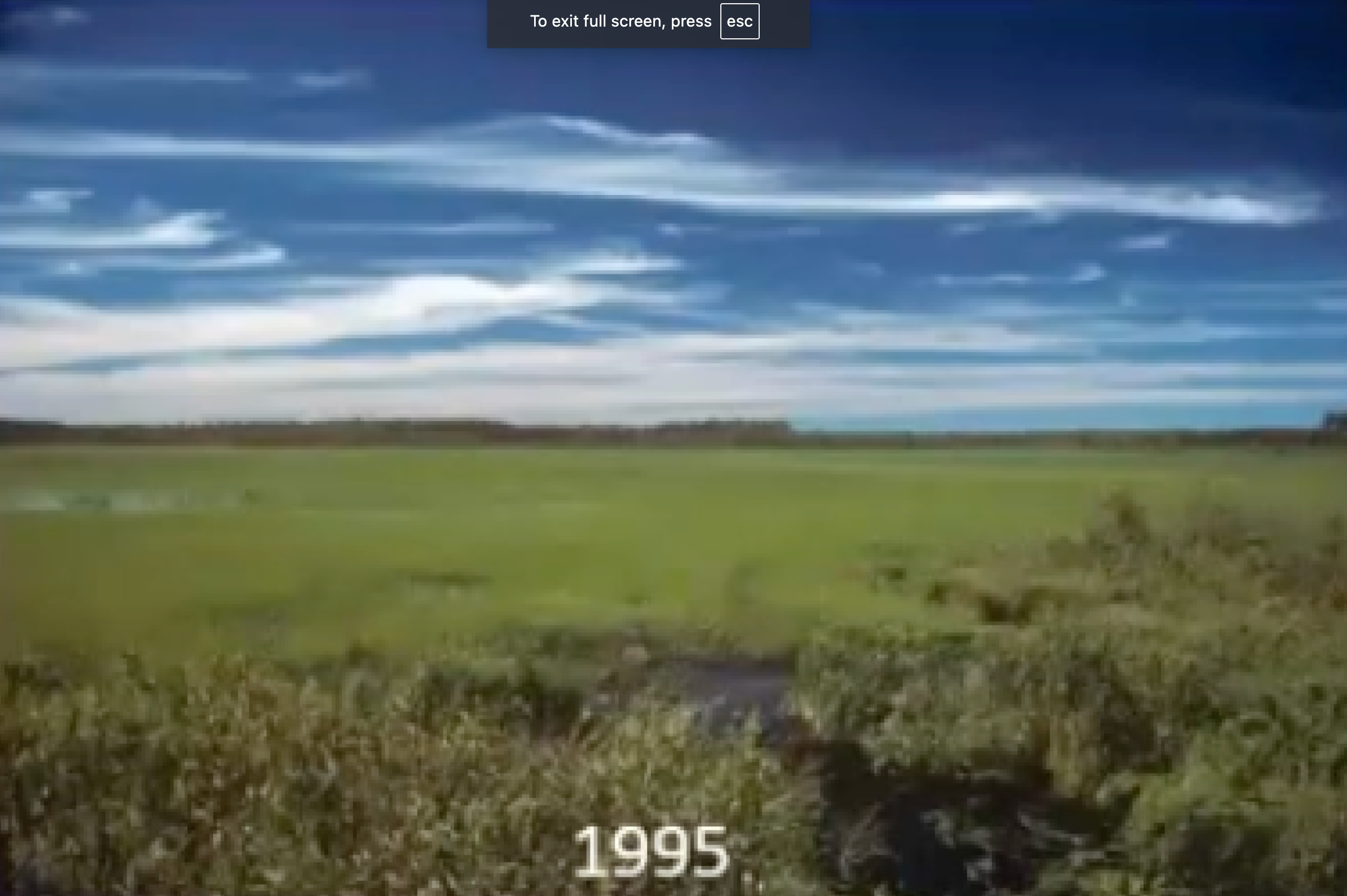 Spur Lake in 1995 with abundant wild rice